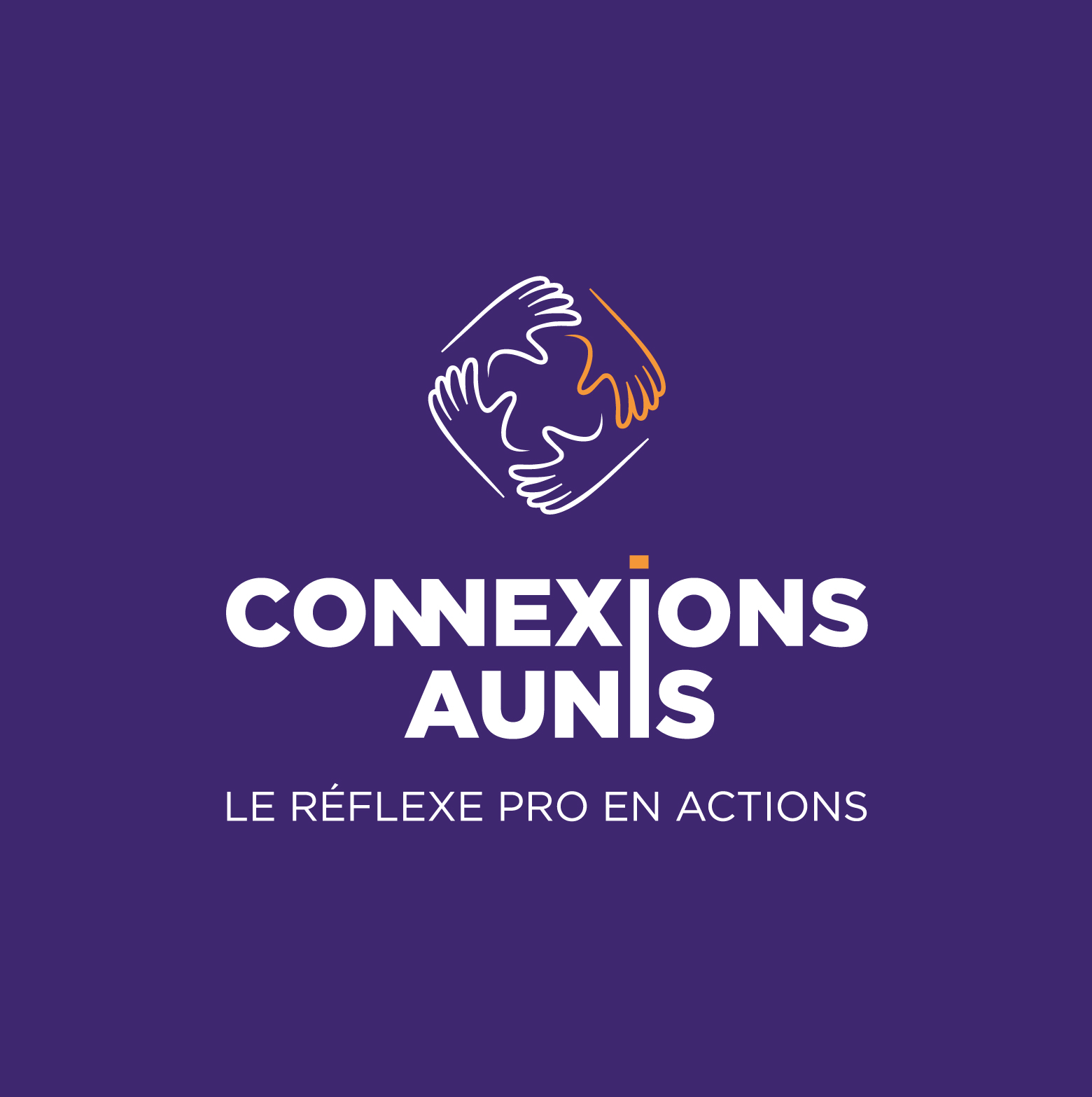 03-Brandboard-Aunis-Connexion_LOGO-A-BLC