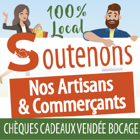 IT Pouzauges - Cheque Vendée