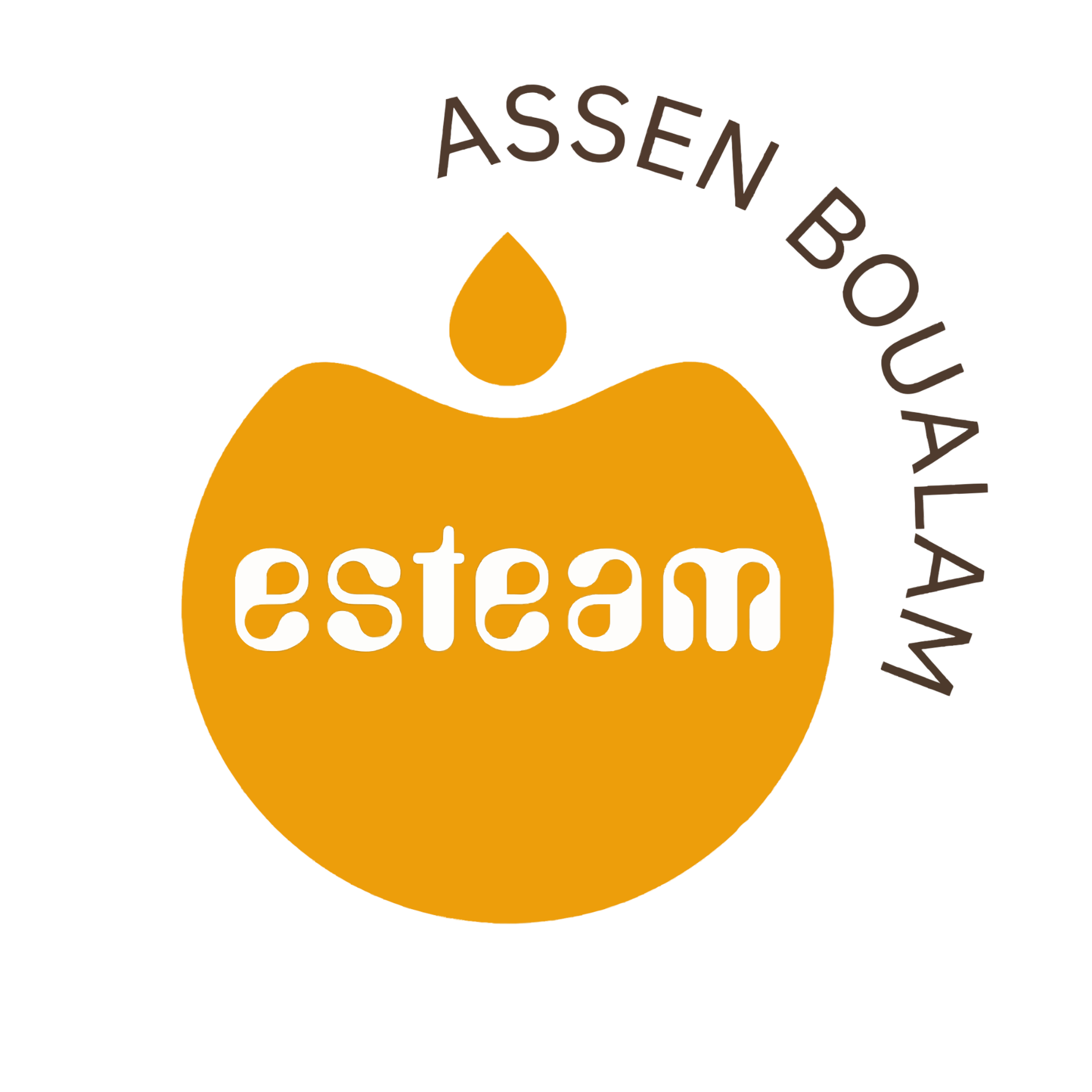 Logo Esteam
