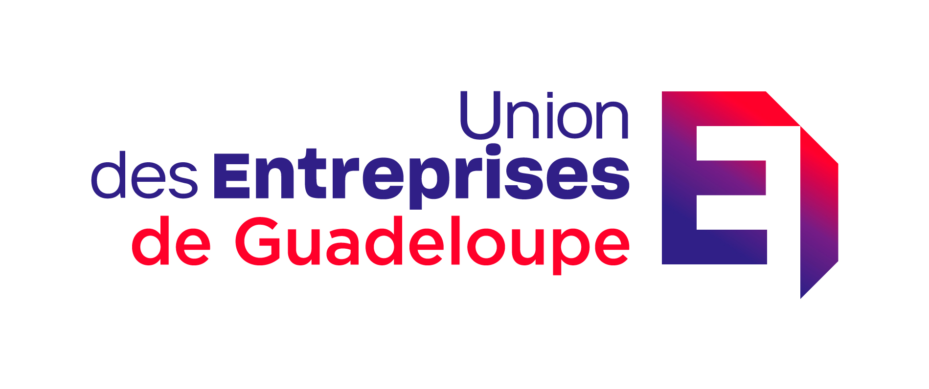 Union-des-Entreprises-de-Guadeloupe_LOGO_RVB