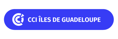 Logo CCI IG_1