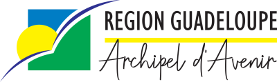 PGN Logo RG_Archipel d'Avenir color (2) (2)